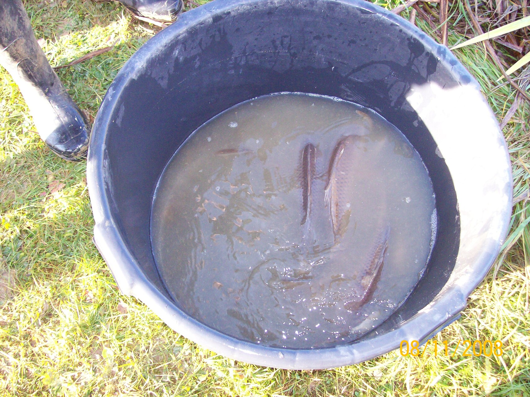 Galeriebild: 100 2321