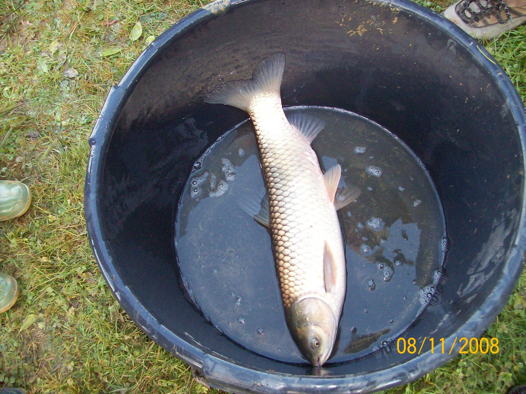 Galeriebild: 100 2329