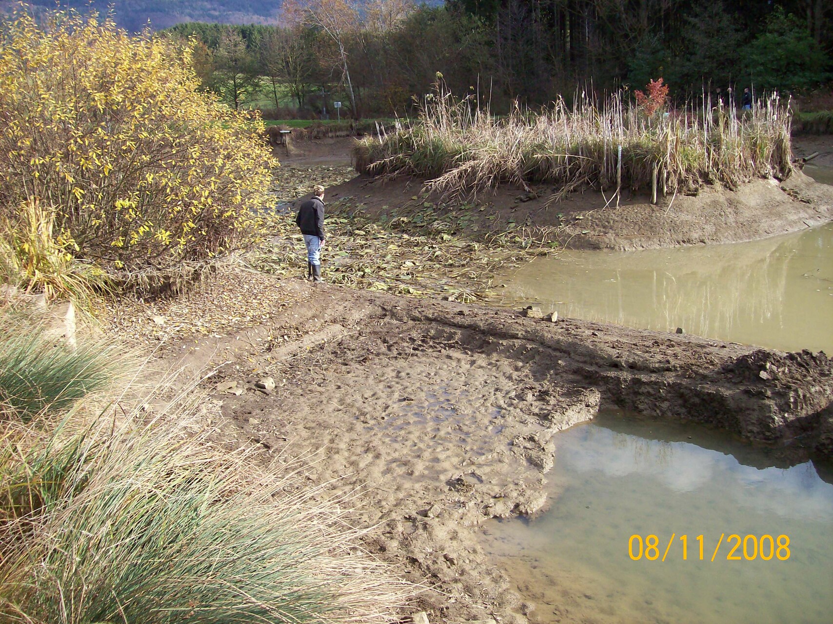 Galeriebild: 100 2340