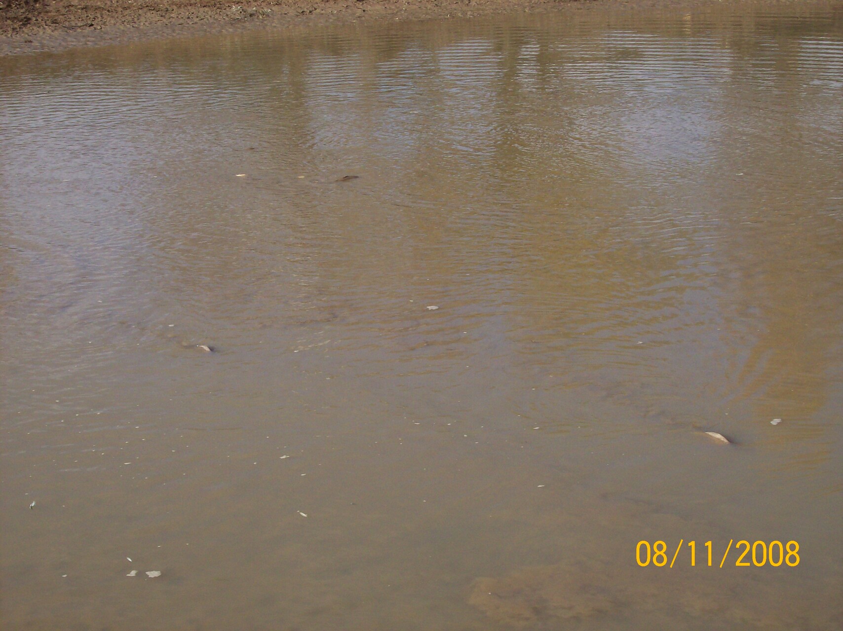 Galeriebild: 100 2341