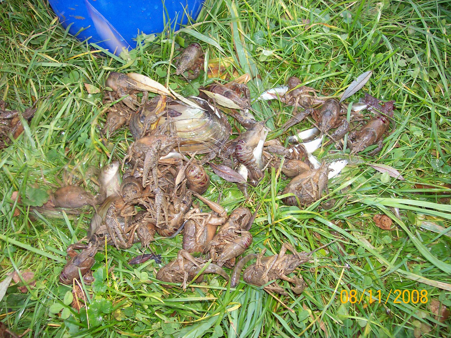 Galeriebild: 100 2364