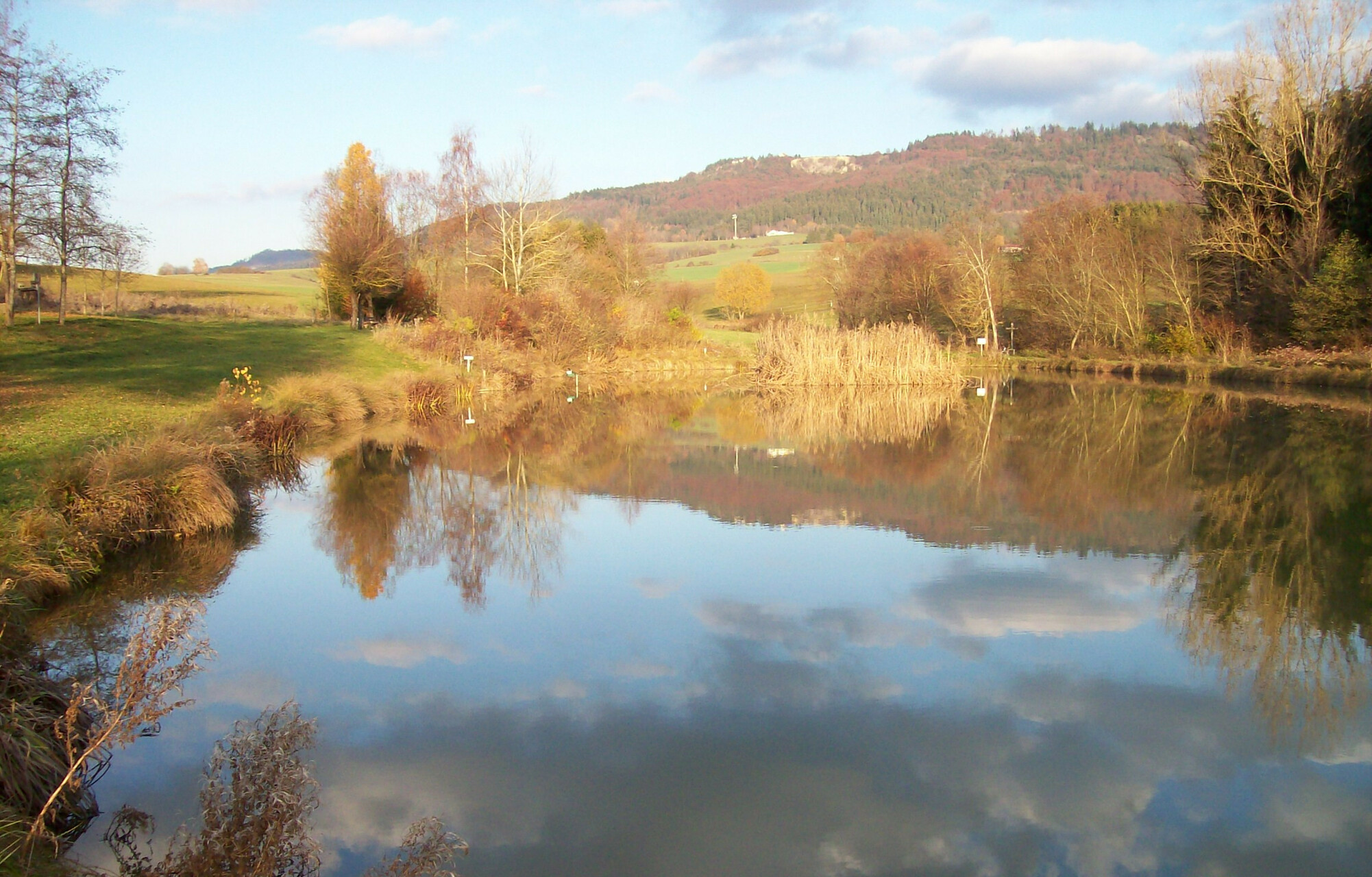 Galeriebild: 100 4916