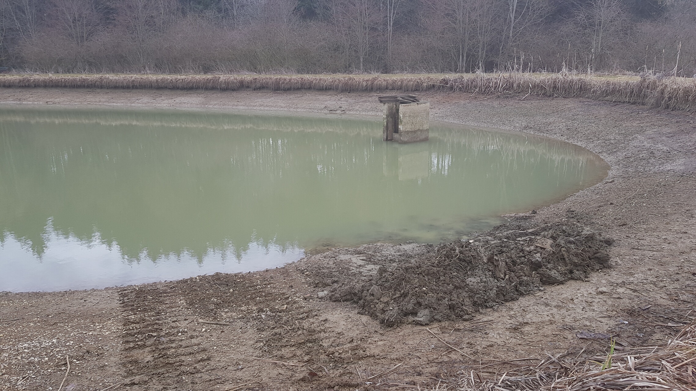 Galeriebild: 20190308 093016